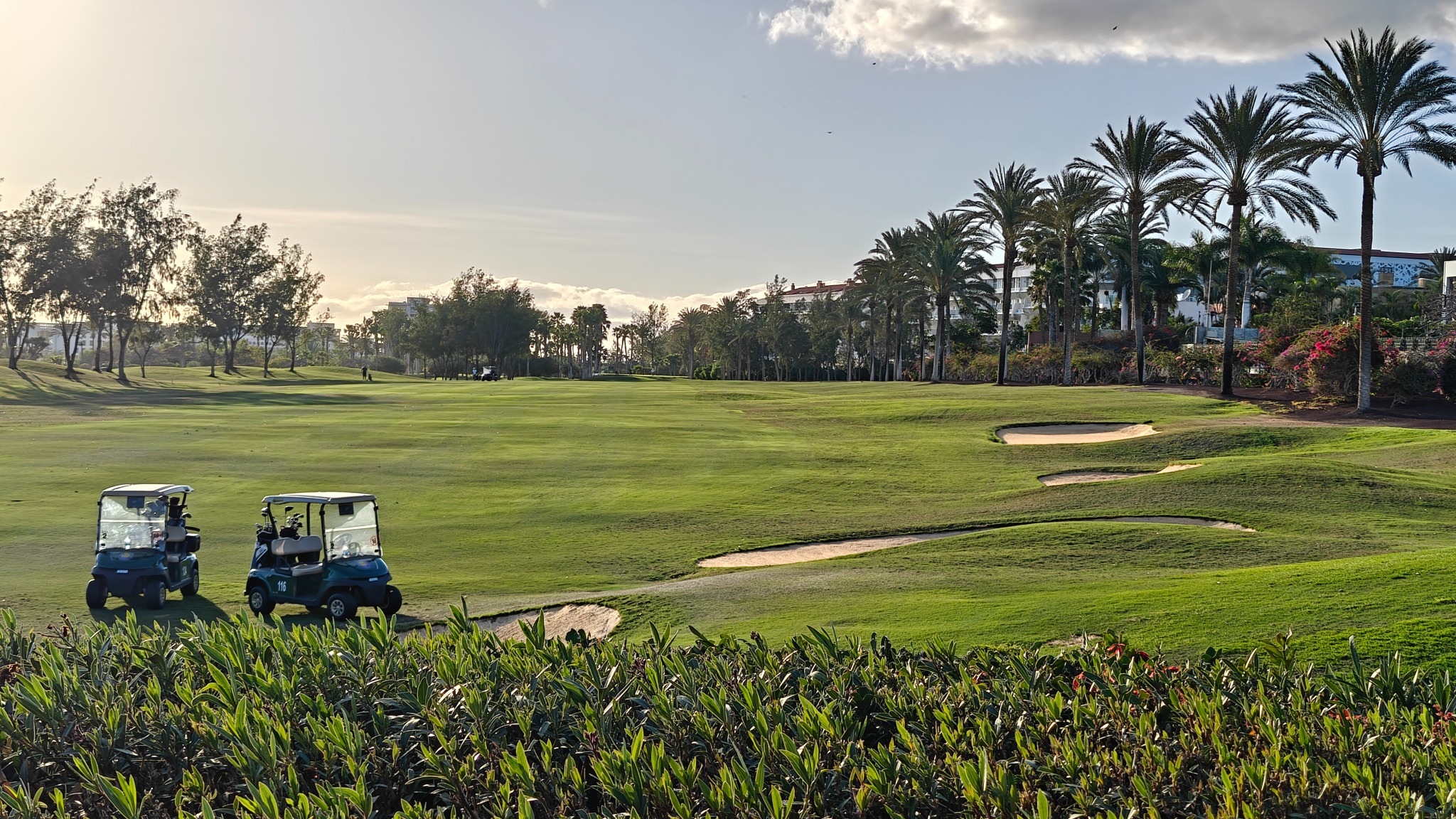 Campo de golf con buggies y palmeras en Golf del Sur