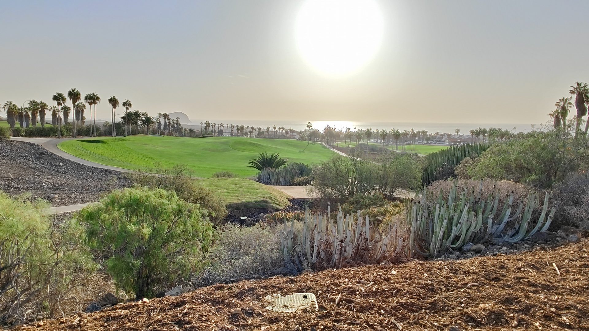 Golf del Sur