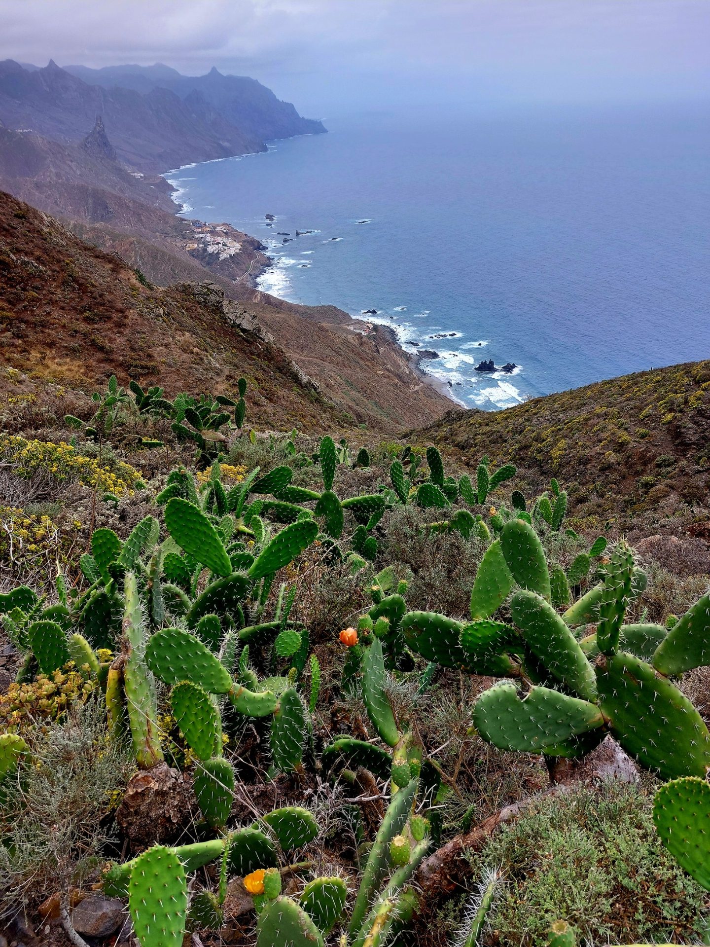 Benijo – Cruz del Draguillo