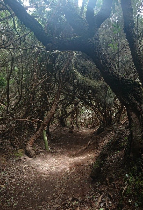 Cruz del Carmen – Cabeza de Zapata