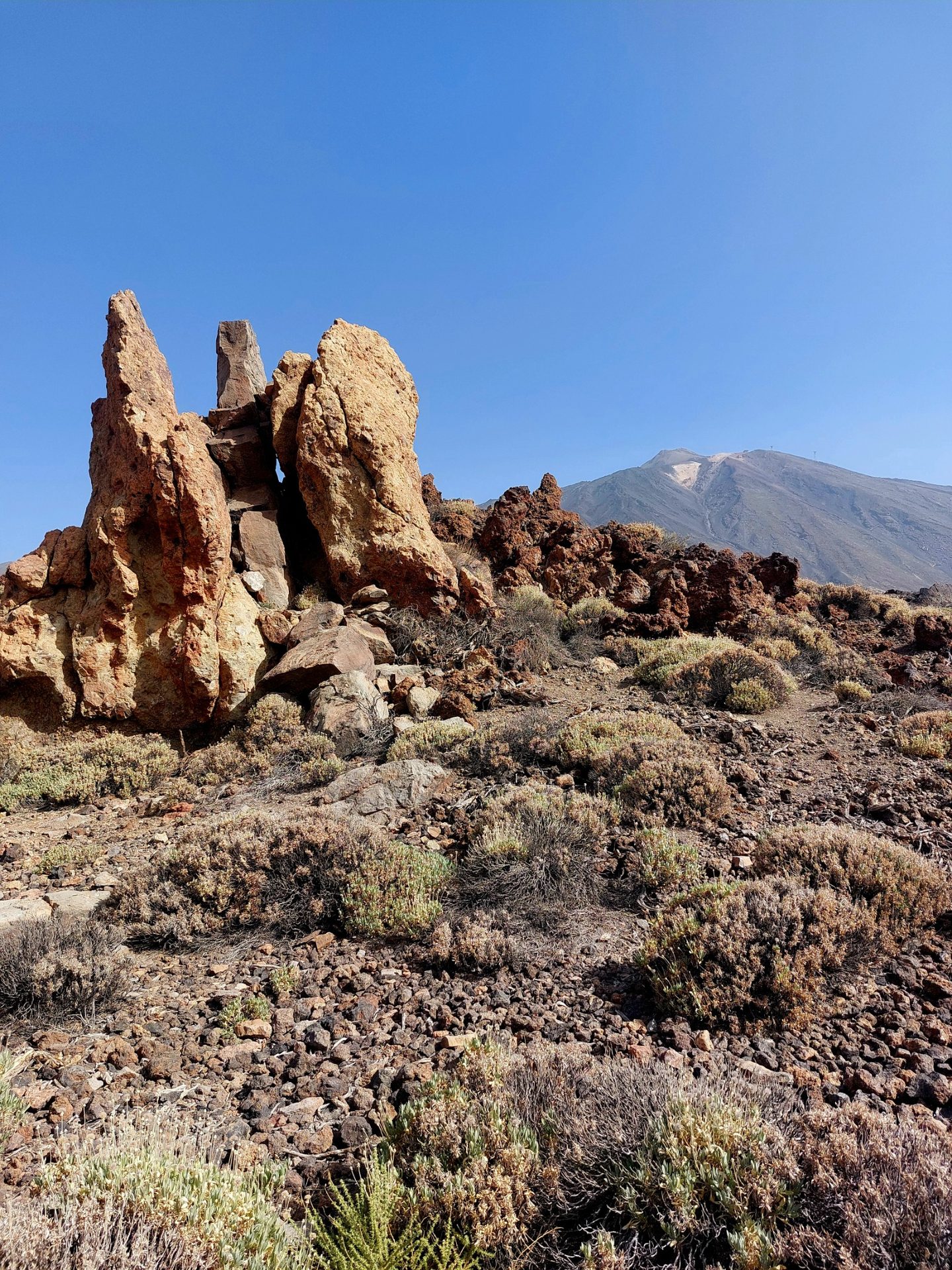 Roques de García