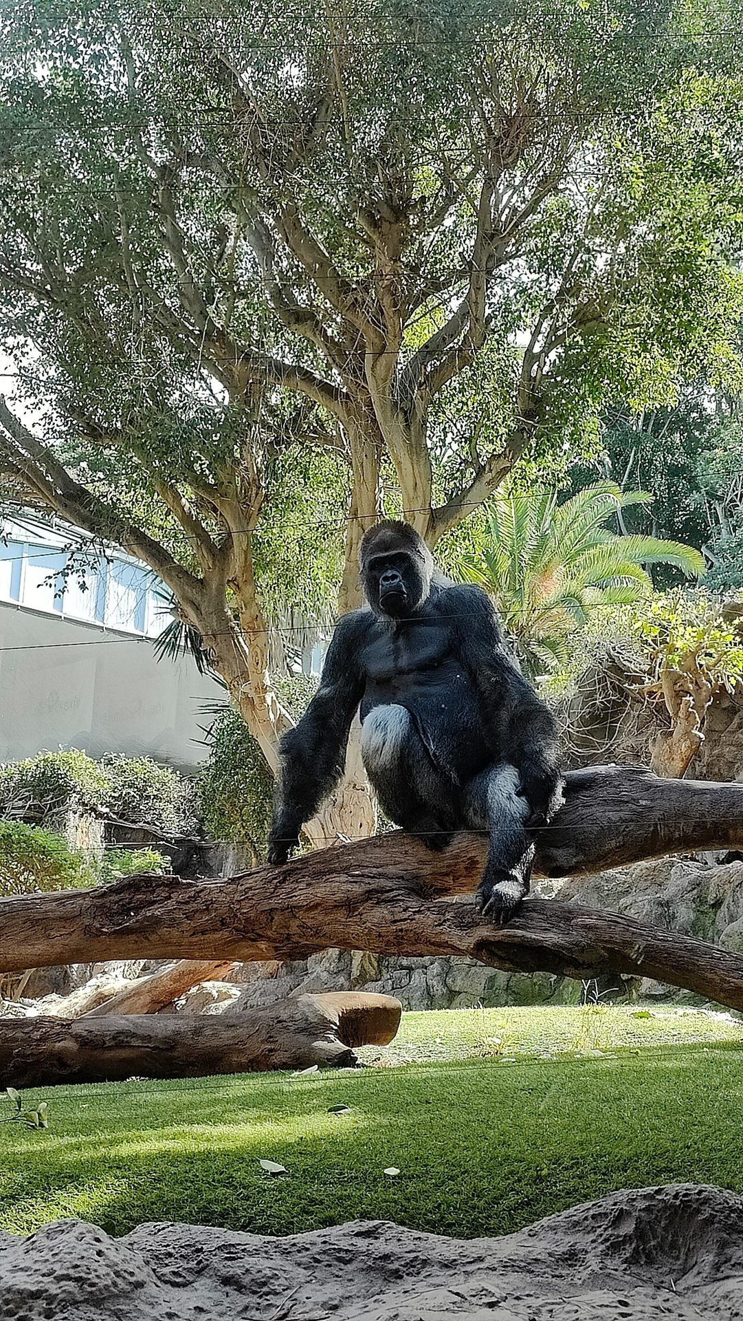 Loro Parque